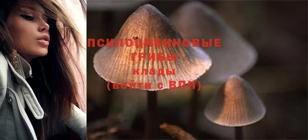 марки lsd Горнозаводск