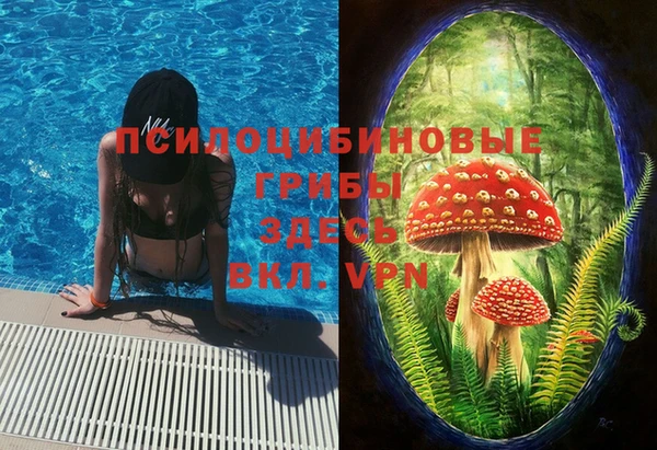 mdma Гусь-Хрустальный