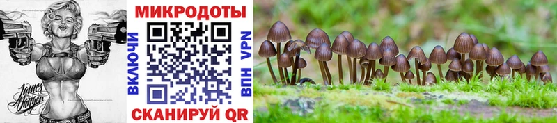Псилоцибиновые грибы ЛСД  Купить закладки  Курлово 