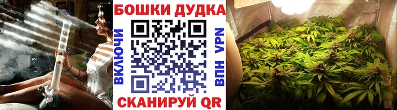 Купить где  Курлово  Бошки марихуана планчик 